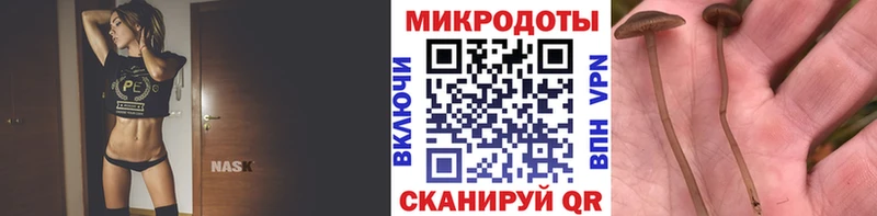 сколько стоит  Камбарка  Галлюциногенные грибы GOLDEN TEACHER 